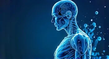 Die besten 8 Tipps bei Bilirubinwerten